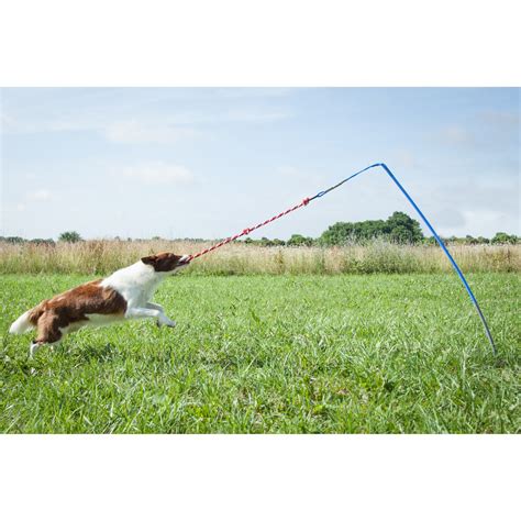 Tether Tug Outdoor Dog Toy