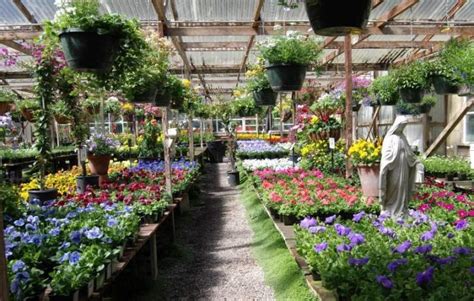 Grow lights, hydroponics, indoor grow soil at local indoor garden store two in caro, michigan 48723 New policies needed to stop invasive plants jumping the garden fence - British Ecological Society