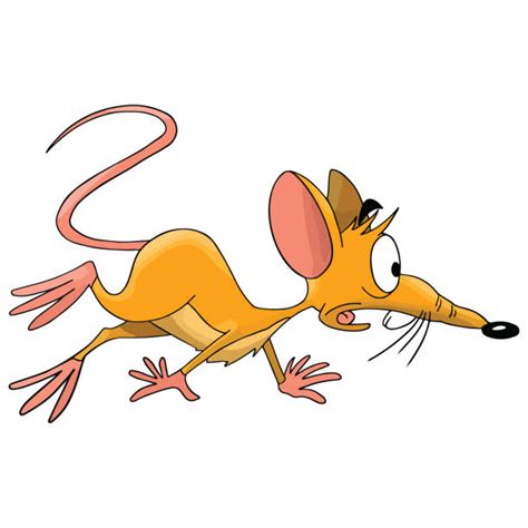 Scary Rat Drawing Illustrations Royalty Free Vector Graphics And Clip