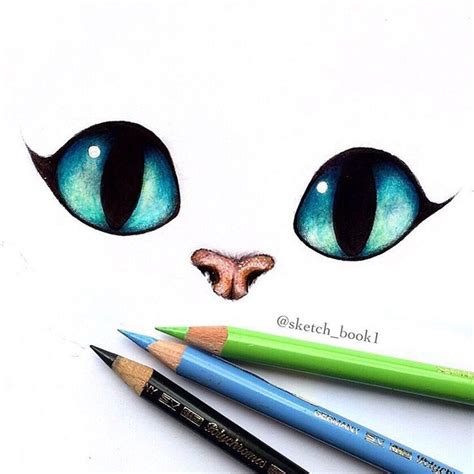 Disney Art Drawings Cute Drawings Cheshire Cat Drawing