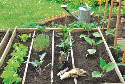 The English Gardener Plan Your Vegetable Garden The