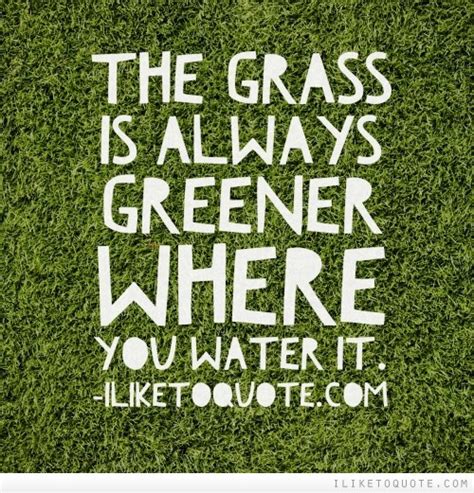 Grass Is Greener Quotes Funny Quotesgram