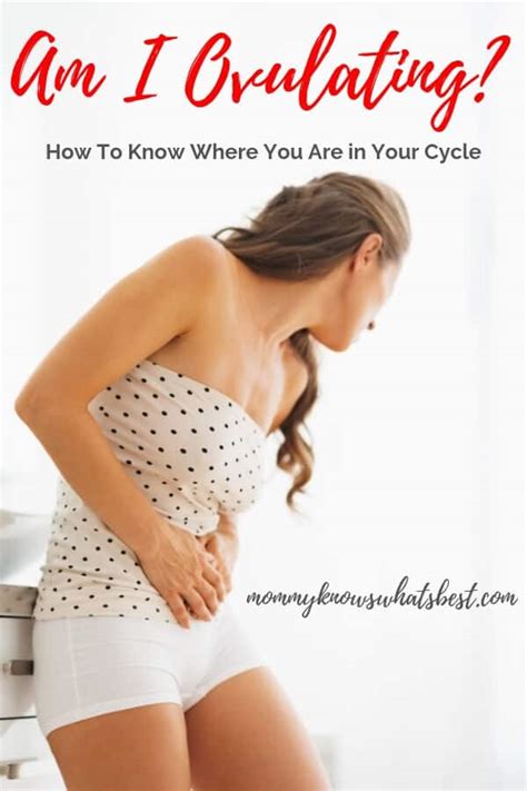 Ovulating How To Know Where You Are In Your Cycle For Fertility