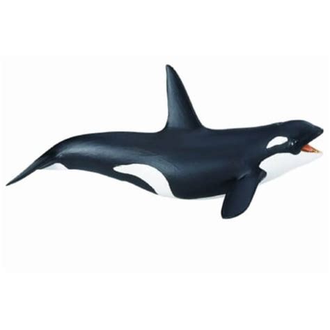 Killer Whale Sea Life Safari Ltd 1 Unit Kroger