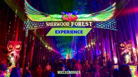 Electric Forest Festival 2023 Pov Experience Youtube