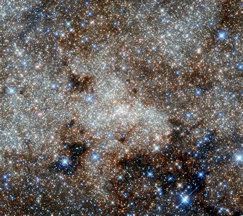 Hubble Tracks A Monster In The Milky Way Nasa Science