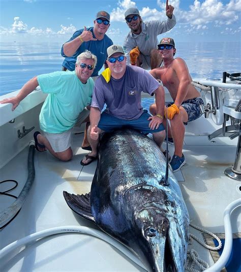Massive Blue Marlin Breaks Year Record Outdoor Life