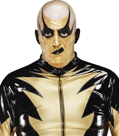 Goldust 2017 Yearbook PNG by AmbriegnsAsylum16 on DeviantArt