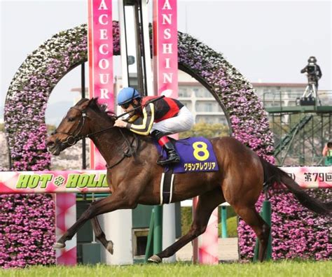 8:01 takashi yoshida 64 009 просмотров. 桜花賞圧勝のグランアレグリアを本命で的中も ...