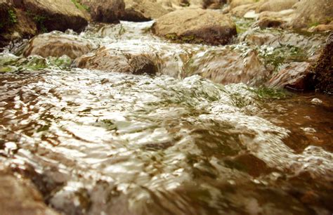 Free Images Nature Rock Creek Leaf River Stream Splash Rapid