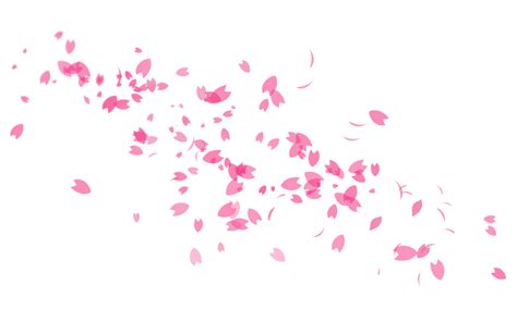 Anime Cherry Blossom Petals Zanimev