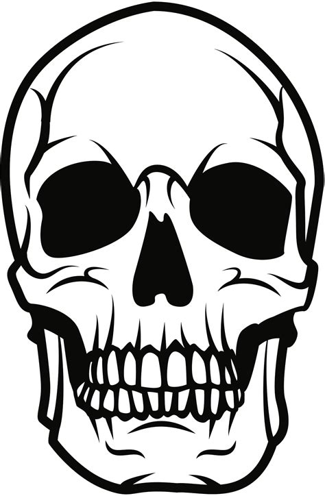 Skull Black And White Drawing