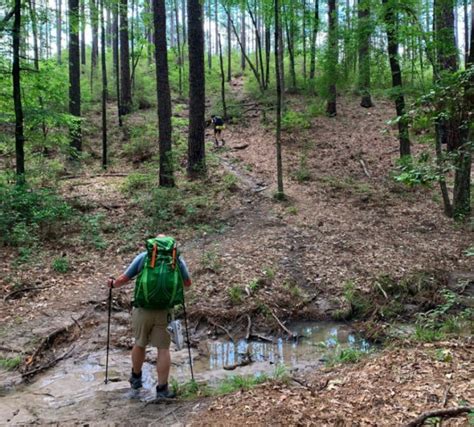 6 Rugged Forest Trails In Louisiana That Will Bring Out The Explorer In You