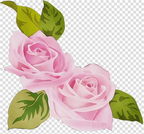 Garden Roses Clipart Pink Flower Rose Transparent Clip Art