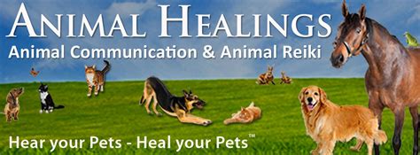 If it is your will, restore (pet's name) to health and strength. Animal Communicator Reiki, Behavior Problems, Pet Loss Grief
