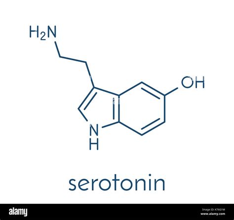 Neurotransmisor Serotonina Molécula Fórmula Esquelética Imagen Vector De Stock Alamy
