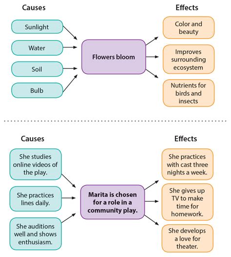 Give An Example Of Cause And Effect Cause And Effect Relationship