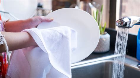 Your Dish Towels Are Full Of Bacteria—heres What You Need To Do Reviewed