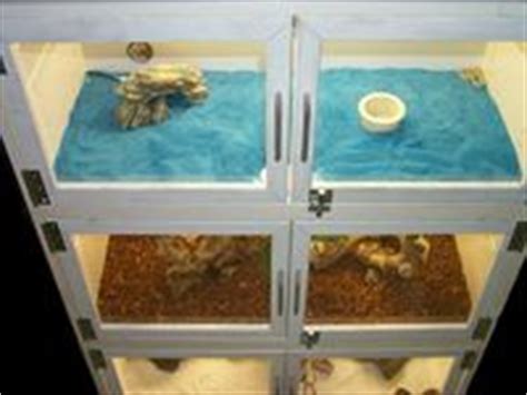 Huge diy reptile cave | step by step! 1000+ images about DIY reptile cages & decor on Pinterest | Mixing bowls, Wax paper and Caves