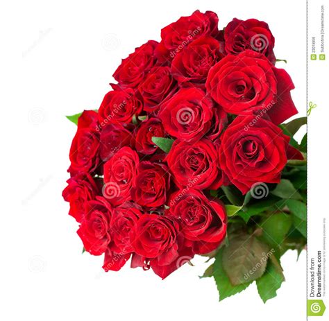See more about flowers, rose and pink. Rose Flowers Bouquet Royalty Free Stock Image - Image ...