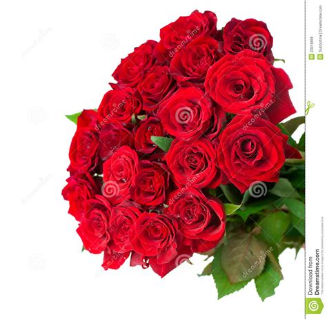 Bunch of roses clipart we offer you for free download top of bunch of roses clipart pictures. Rose Flowers Bouquet stock photo. Image of fresh, isolated ...