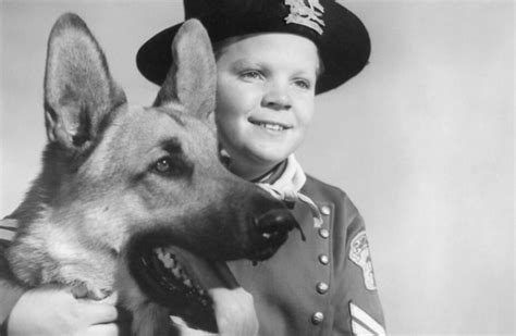 20 Facts About Rin Tin Tin That You Didnt Know 2022