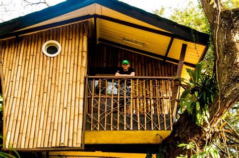 Illustration of a colorful tree house. Tree house at Boy Scout in Zamboanga city, Philippines ...