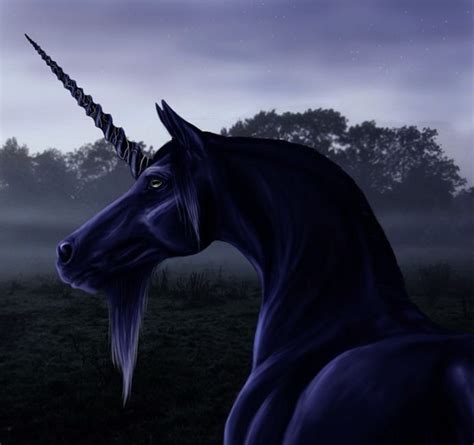 Horses Unicorns Pegasus Pegasus Unicorn Real Unicorn Black Unicorn