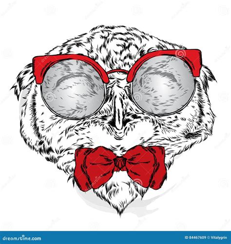 Funny Owl Wearing Glasses Vector Illustration For A Card Or Poster