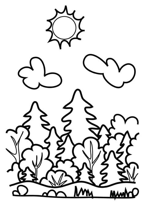 Drawing Forest Coloring Page Coloring Sky Forest Coloring Pages