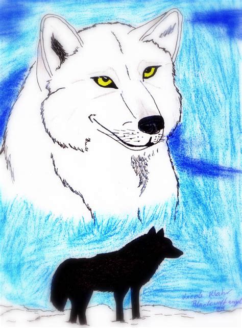 Faith Wolf By Xxblackwolfangelxx On Deviantart