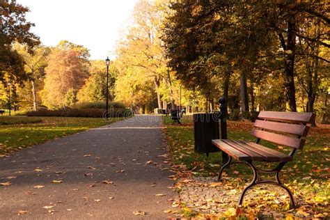 Picturesque View Of Park With Pathway Beautiful Trees And Bench