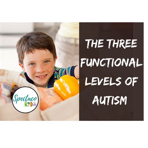 The Three Functional Levels Of Autism Spectacokids
