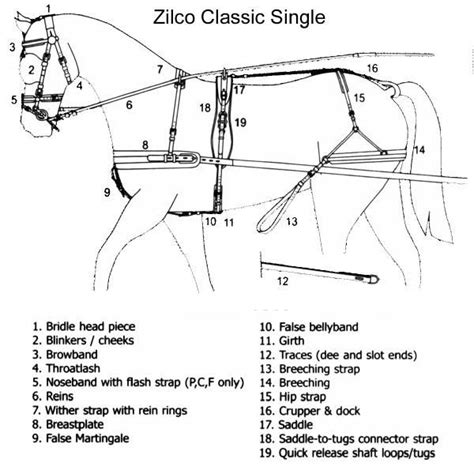 Harness Diagram Horse Wagon Horse Camp Carriage Driving Horse