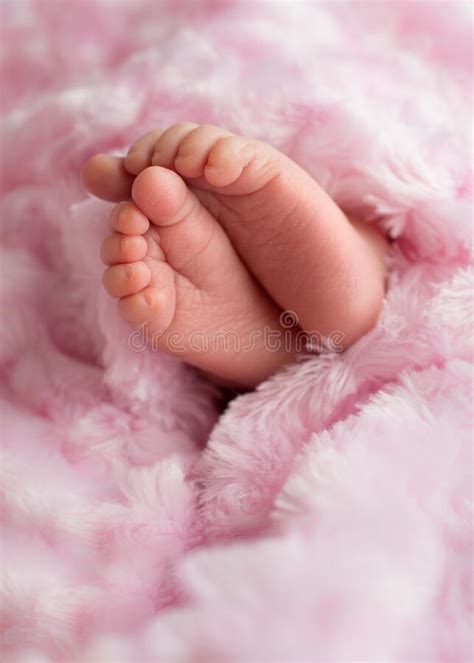 Newborn Baby Feet Stock Image Image Of Blanket Body 186159571