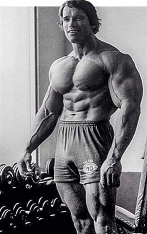 Pinterest: @amaurucusi | Schwarzenegger bodybuilding, Arnold