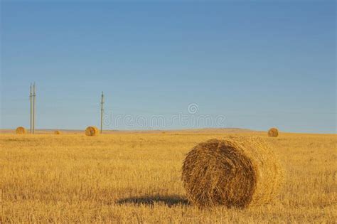 Hay Bale Haystack On Rural Nature On Farmland Straw In The Meadow