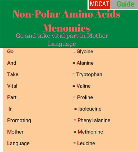 Amino Acids Mnemonics Easy Way To Memorize Mdcat Guide