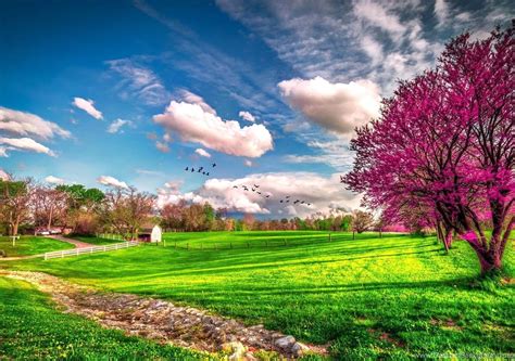 Beautiful Spring Scenery Wallpapers Hd 1080p For Desktop Desktop Background