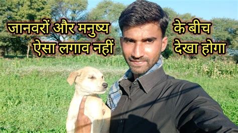 Cute Dog Ke Sath Msti 😍 Village Life Desi Vloge Cute Dog Vloge