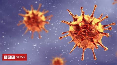 Por Que O Novo Coronavírus Consegue Se Propagar Com Tanta Eficiência