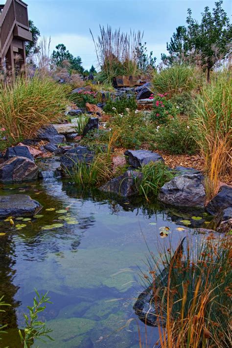 Expert Parker Co Sustainable Landscaping Design