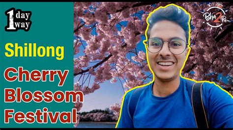 Cherry Blossom Festival Shillong One Day One Way Bha2pa Youtube