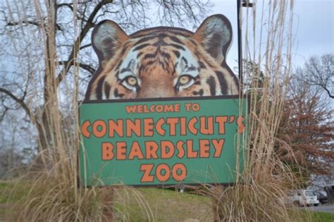 Beardsley Zoo In Bridgeport Ct Ct Mommy Blog