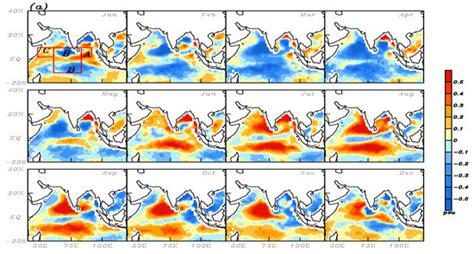 Remote Sensing Free Full Text An Observational Perspective Of Sea