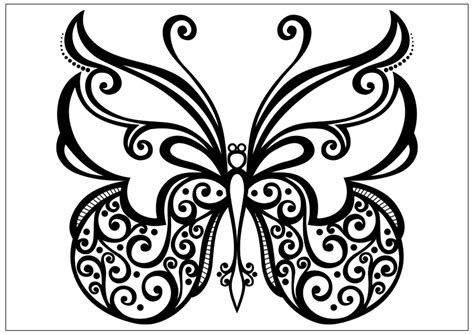 Beautiful Butterfly Coloring Pages At Getdrawings Free Download