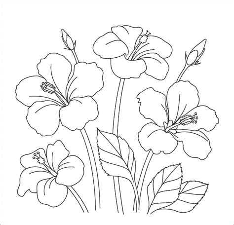 Lukisan Gambar Bunga Yang Cantik 30 Gambar Sketsa Bunga Mudah Bunga