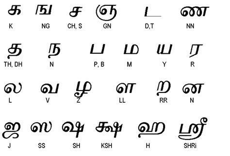 The Tamil Alphabet Consonants India Pinterest Language