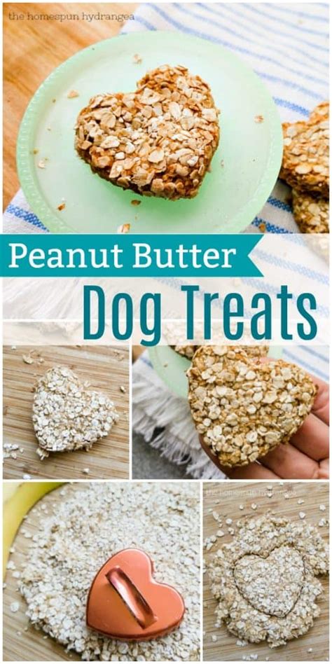 3 Ingredient Homemade Peanut Butter Dog Treats