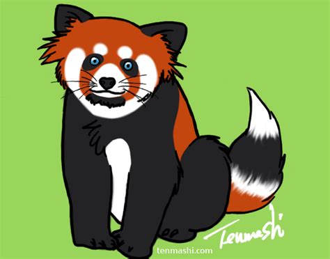 Fursona Mark Panda Red Panda By Tenmashi On Deviantart